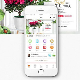 兴城门店微商城小程序开发