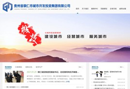 兴城城市开发投资集团有限公司