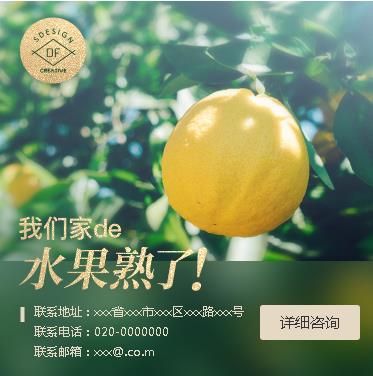 兴城果园果林小程序开发